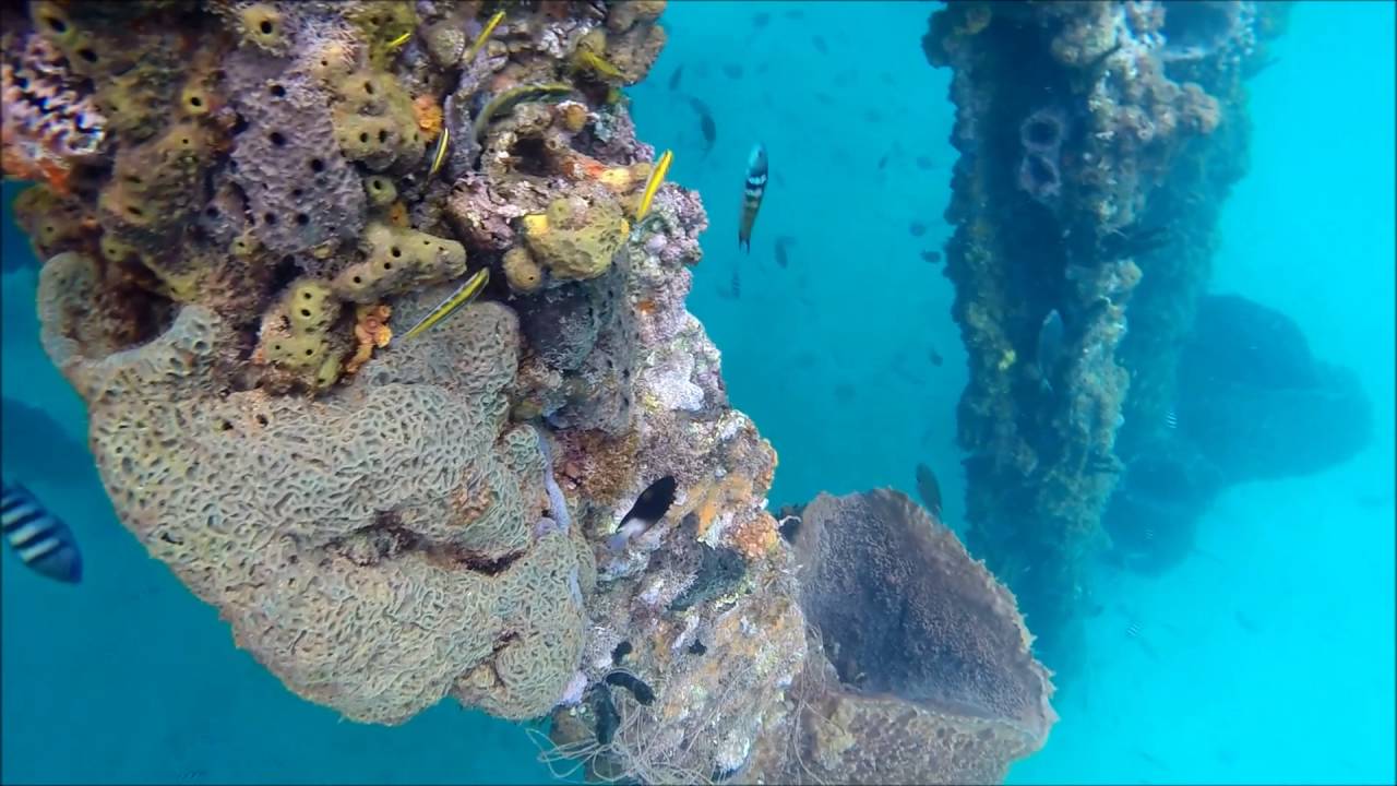 Crash Boat & Pena Blanca, Aguadilla YouTube
