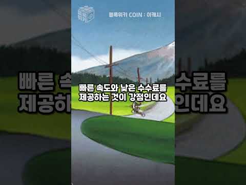 이캐시 XEC 전망 중국코인 대표 주자 Ecash 호재 알아보기 Feat 비캐똥 