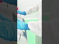 Maximizing Cell Yield and Purity Through Precise Spinning!