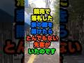落札した家に、認知症の高齢者が置き去りにされていました