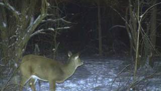 Cuddeback capture 1 30 09