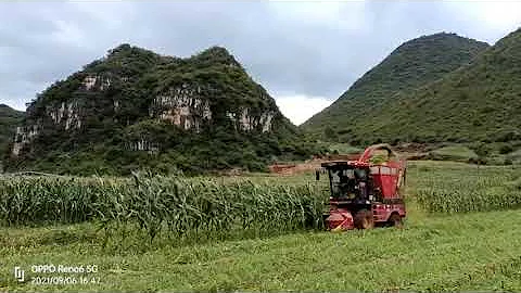4QZ-2200 silage harvester use feedback