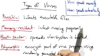 Viruses and Internet Worms