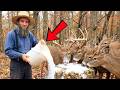 The Amish Deer Hunting Method That Pulls Bucks From 500 Yards — No Bait, No Scent, No Store