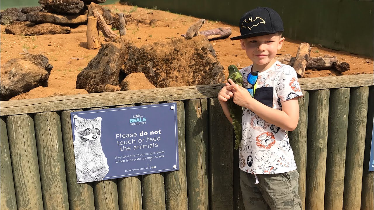 Deni in Beale Wildlife park in England