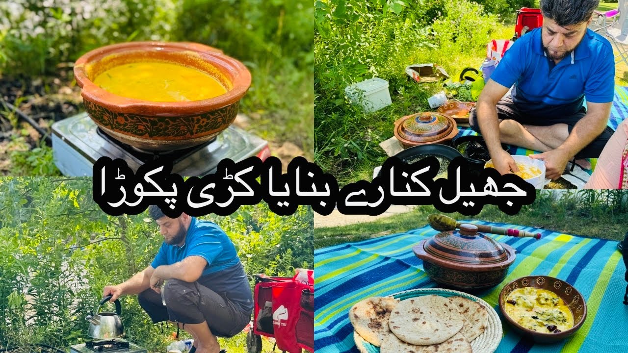 Canada Ki Lake Aur Pakistani Kadhi Pakora 🫠Canada Main Germi Kay Mazay 🇨🇦