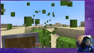 Can cactus destroy cactus in Minecraft?