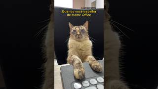 QUANDO VOCÊ QUER SER PRODUTIVA NO HOME OFFICE