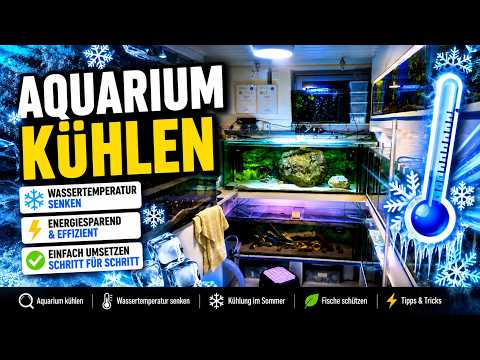Cooling Your Aquarium: Lower Water Temperature Fast 🌡️ The Best Methods to Beat the Heat!