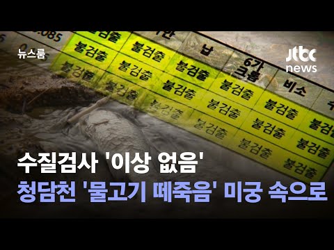 수질검사 &#39;이상 없음&#39;…청담천 &#39;물고기 떼죽음&#39; 미궁 속으로 / JTBC 뉴스룸