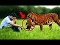 This Tigress Gave Her Cub to This Man, and Then He Did Something Unexpected!