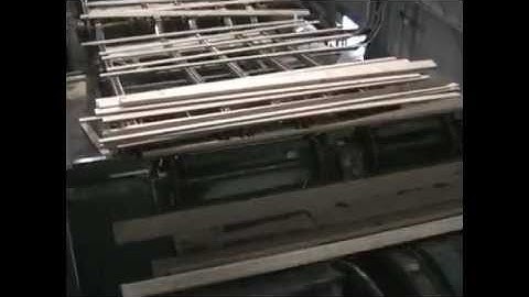 Pinetec Lug Loading & Sorting (120lpm) by TS Manufacturing