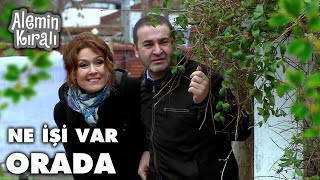 Aslan Ve Ve Mehveş, Aybeni Takip Ediyor- Alemin Kıralı