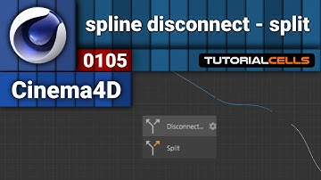 0105. spline split & disconnect in cinema 4d