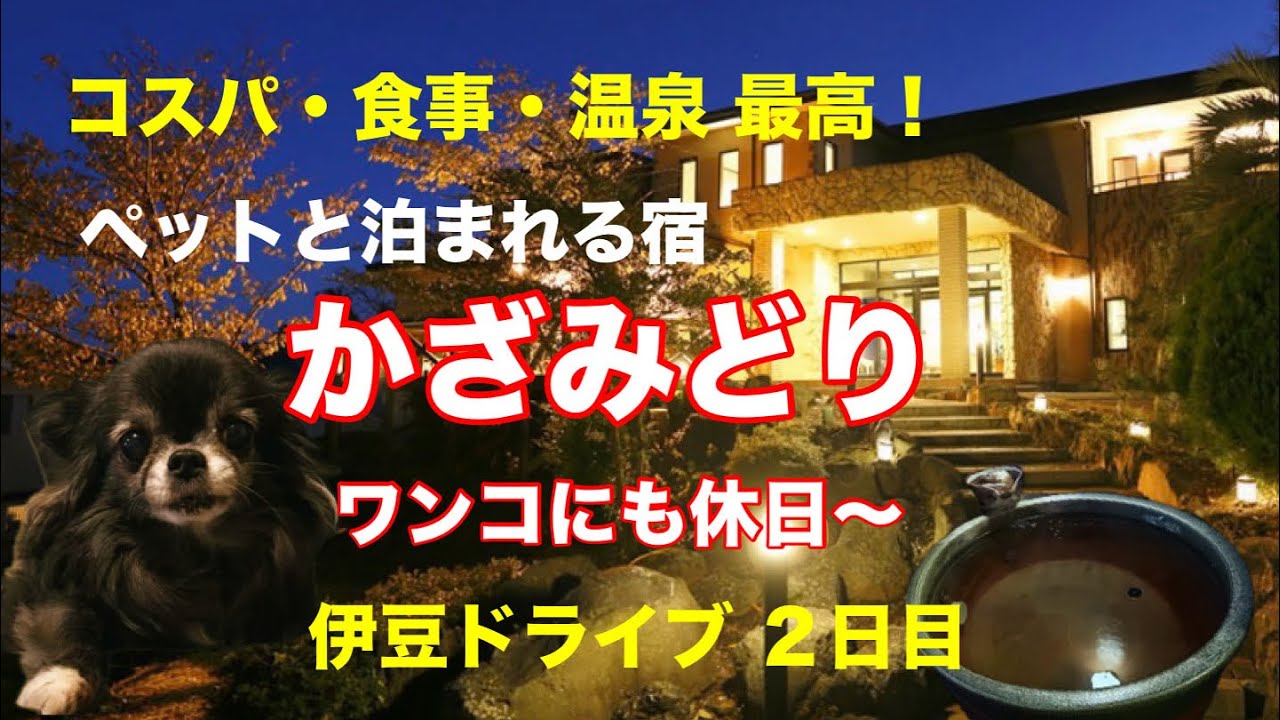 [Путешествия] Лучшее место для проживания с собакой: «Кадзамидори» — День 2 увлекательной поездки...