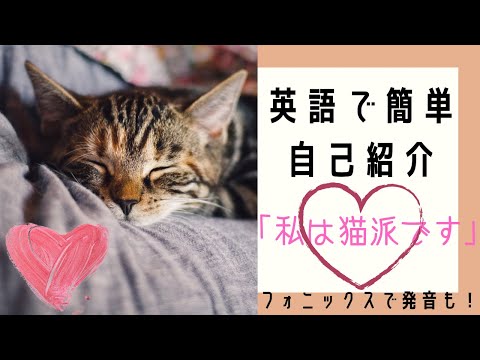 英語で簡単自己紹介!「私は猫派です」フォニックスで発音もバッチリ準備!