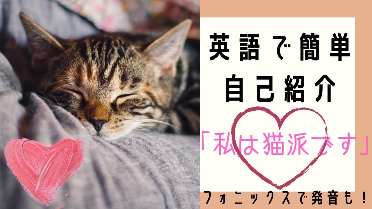 英語で簡単自己紹介 私は猫派です フォニックスで発音もバッチリ準備 Youtube