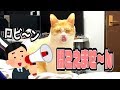 名前を呼んでもこない猫を来るまで呼んでみた