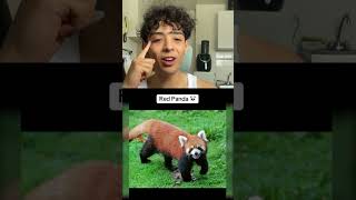 Je react Aux animaux qui vont disparaitre #divertissement #drôle #humour #react