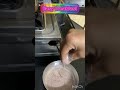 Easy and healthy breakfast #### ragi java##5mins breakfast ##