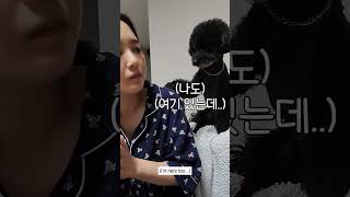 Jjajang gets angry... #shorts