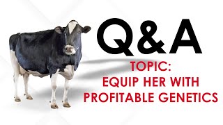 Q&A | Episode 3: Equip Her With Profitable Genetics