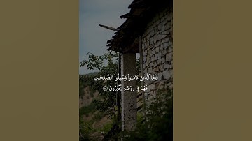 #عبدالرحمن_الجريذي #سورة_الروم