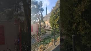 Shorts Technology 466 49 Binningen