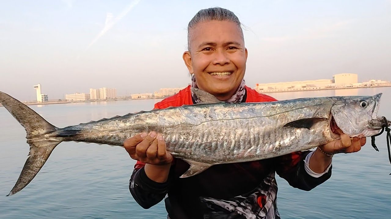 Monster kingfish landed using my light setup//Abu Dhabi shore casting 