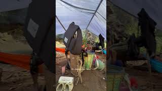 Rainy Night Camping & River Fish Fry! 🌧️🐟 #Shorts