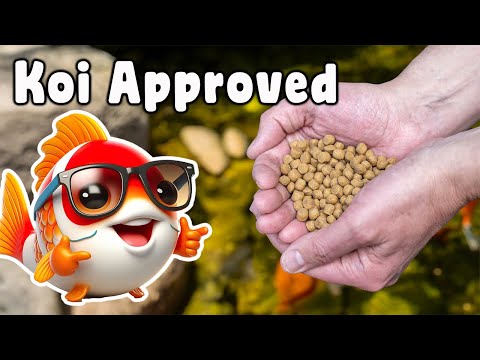 What's Really In Your Fish Food… You Might Be Surprised!