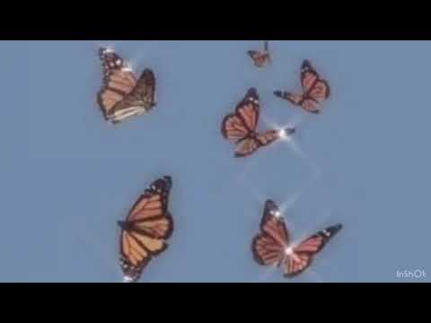 ANTH - Sunshine Lyrics ( Ft. Conor Maynard)