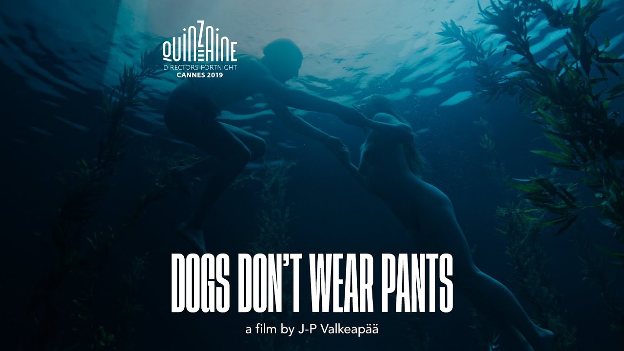 Watch Dogs Don't Wear Pants (2019) Full Movie Online - Plex