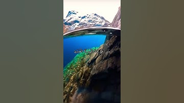 واتس اب قران كريم القارئ ياسر الدوسري(سوره البقرة