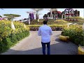 Lhomme de duba qui a construit le plus grand jardin fleuri du monde 