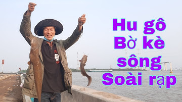 Câu cá bờ kè sông soài rạp và kết quả không ngờ