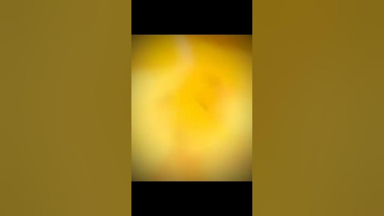 эбобо - YouTube