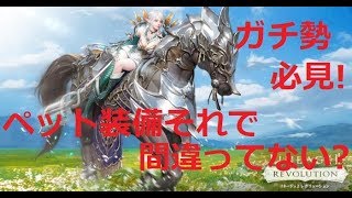 リネレボ２ 元英雄が教える ペット装備の選び方 そのペット装備それでいいの リネージュ２レボリューション Youtube
