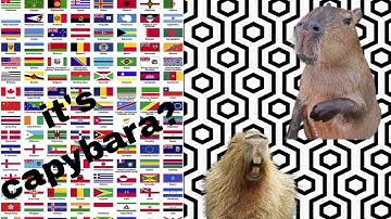 Capybara on Different Languages | part 1