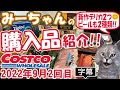 【字幕付】コストコ購入品紹介！2022年９月２回目　シンガポールラクサ、ハワイアンホーストマンゴーチョコ、グースアイランドIPA、シトラホップIPAなど新商品＆定番合わせて15品で31,163円でした
