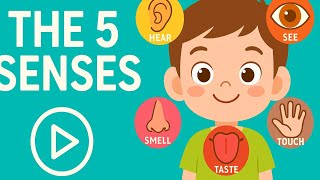 Micro teaching| Demo | The Five Senses ||