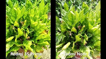 Redmi 3S Prime vs Redmi Note 3: in-depth CAMERA COMPARISON in 4K