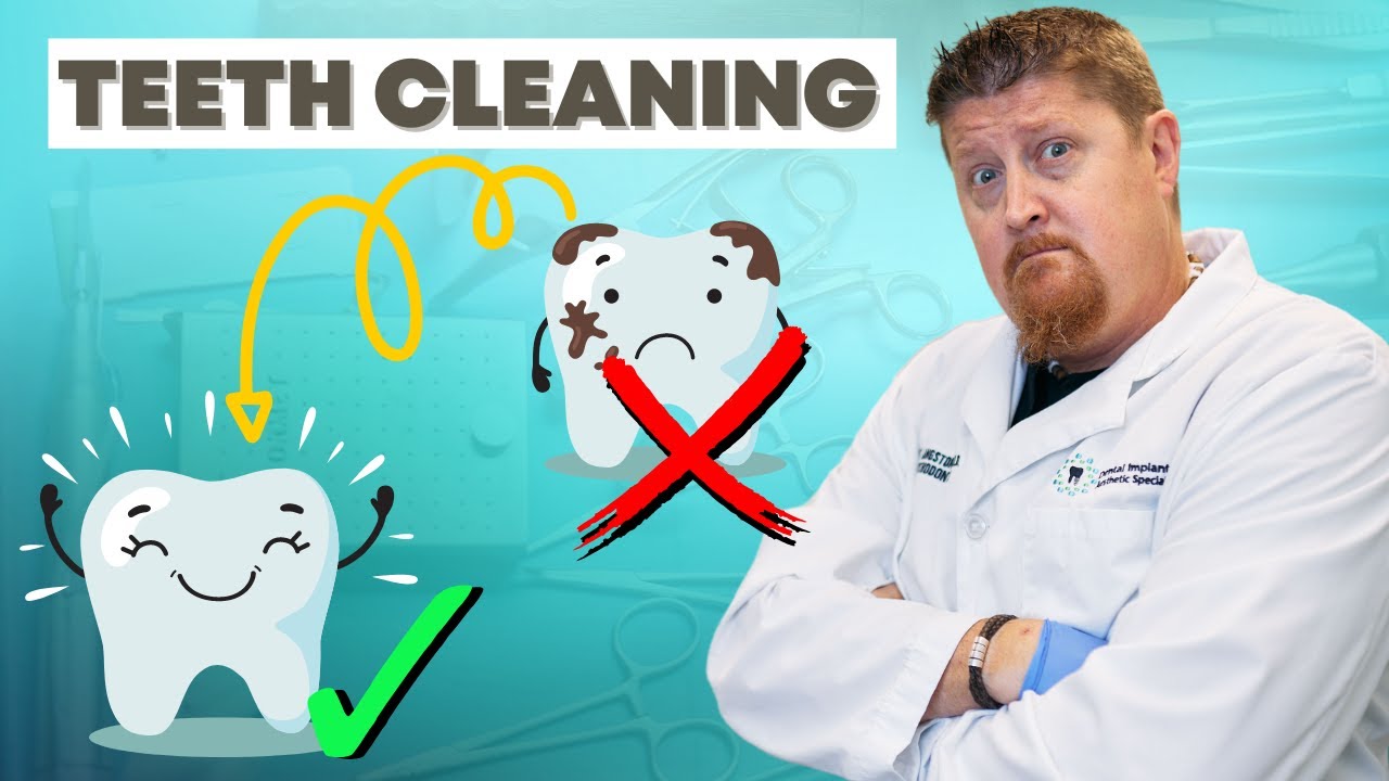 When Should I Get My Dogs Teeth Professionally Cleaned When Should I Get My Dogs Teeth Professionally Cleaned