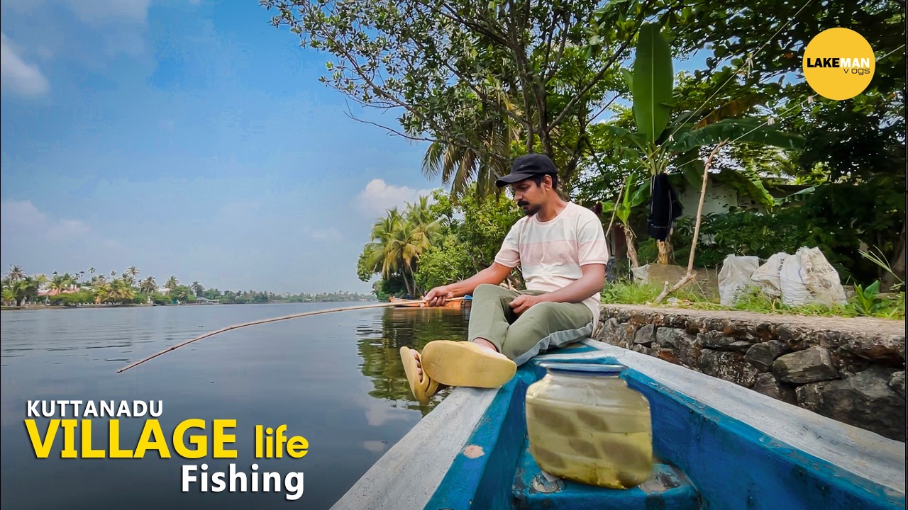 ഞാൻ ചൂണ്ടയിട്ടാൽ കരിമീൻ മാത്രമേ കിട്ടൂ...🐠 കൈചൂണ്ടയിൽ കിട്ടിയ കരിമീൻ 🎣 Kuttanadu Village Fishing
