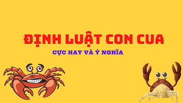 ĐỊNH LUẬT CON CUA | BÀI HỌC THÀNH CÔNG| KC SMILE|