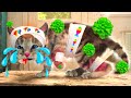 LITTLE KITTEN ADVENTURE - CUTE PLAYFUL KITTEN ON A LONG AND ADVENTUROUS JOURNEY - LONG KITTEN VIDEO