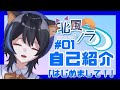 【自己紹介】こんふわ~!北風ソラです!【新人Vtuber】