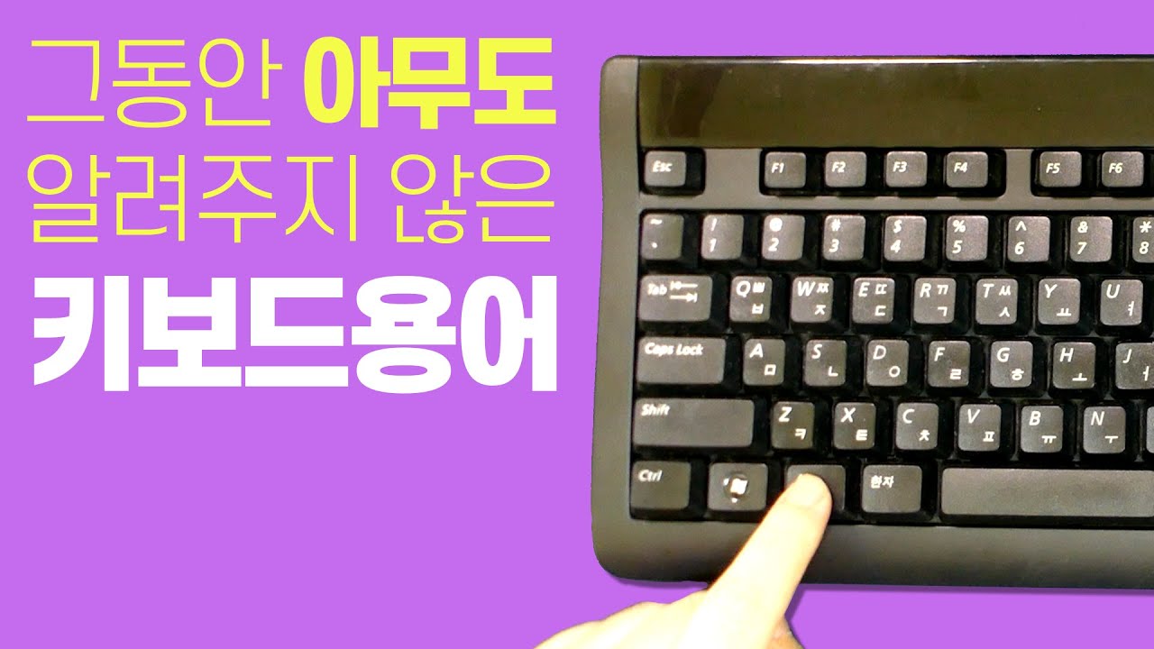 그동안 아무도 알려주지 않은 키보드용어