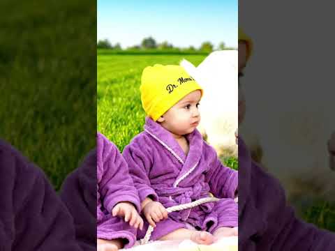 البيبي بيفضل اللبن من مصدره Baby Ai Trendingshorts Explore