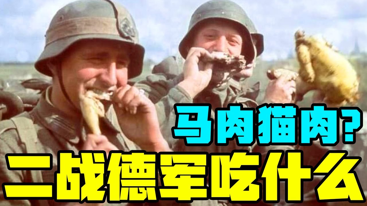 从奢侈的充足蛋白质摄入，到吃马肉猫肉，二战德军的口粮是如何变化的丨冷战短剑番外篇